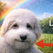 Alexander H Mardukhovich