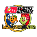 Les Arsouilleurs GT3