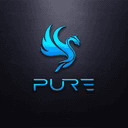 Pure Racing