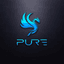 Pure Racing
