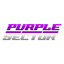 Team Purplesector GT3 T2