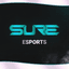 Team Sure E-Sports GT3