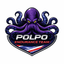Polpo Endurance Team