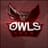Owls Team 5