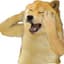 Gold D Dog
