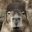 Capybara Road Vehicle