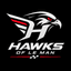 Hawks of Le Man